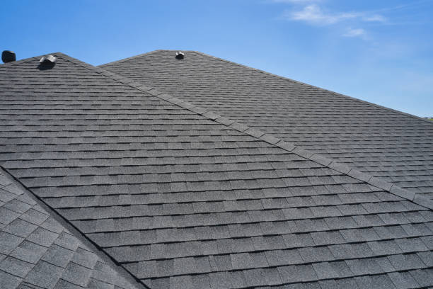 Best Roof Insulation Installation  in Shoreview, MN